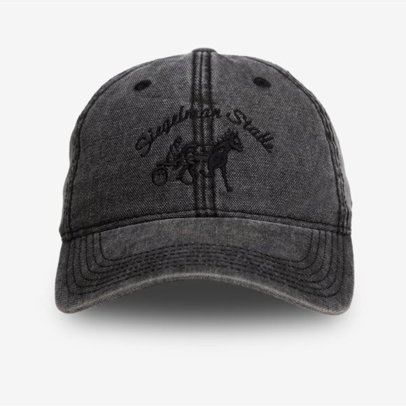 Siegleman Stable Other - Siegelman Stable Canvas Dad Hat in Black One Size